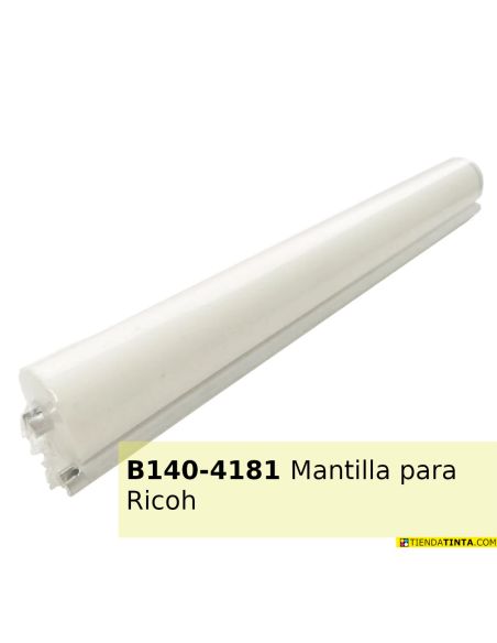 Mantilla Web Limpiadora B1404181 (B140-4181)(43000 Pág) No original